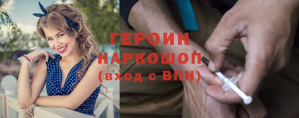 гашик Алексин
