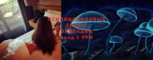 гашик Алексин