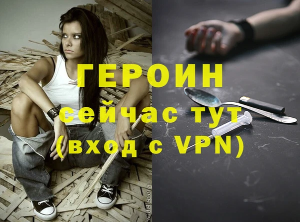гашик Алексин