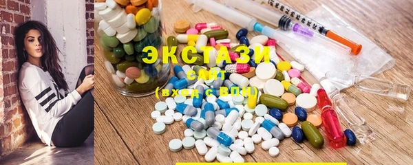 гашик Алексин