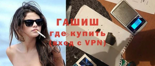 гашик Алексин